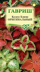 Колеус Оригинальный