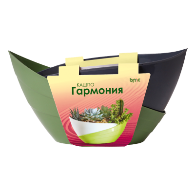 Оливковый антрацит