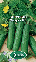 00-00000068_1