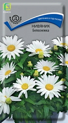 Нивяник Белоснежка