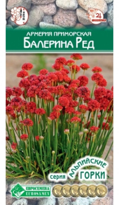 Армерия Балерина Ред
