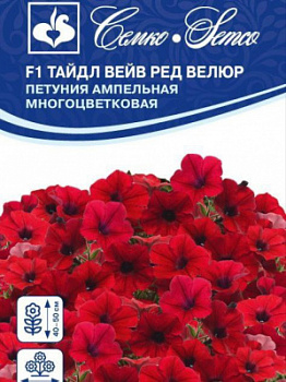 Петуния Тайдл Ред Велюр