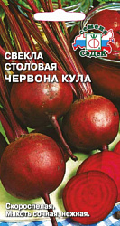 svekla_chervona_kula