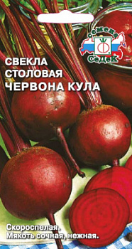 svekla_chervona_kula