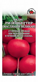 Ризенбуттер