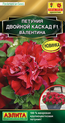 Петуния двойной каскад Валентина