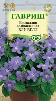 Броваллия Блу Белл