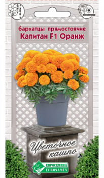 Бархатцы Капитан Оранж
