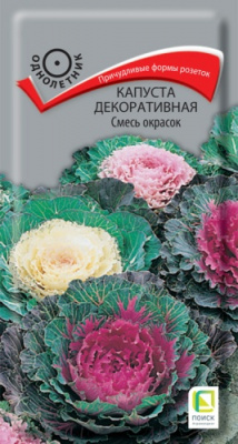 kapusta_dekor_smes_okrasok