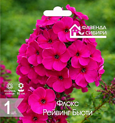 Флокс ПРайвинг Бьюти