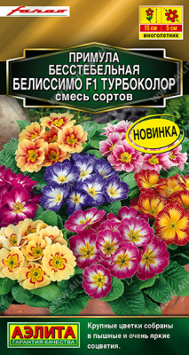 Примула Белиссимо Турбоколор