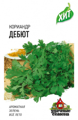 Дебют