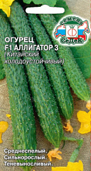 ogurets_alligator_3_f1