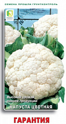 kapusta_cvet_garantia