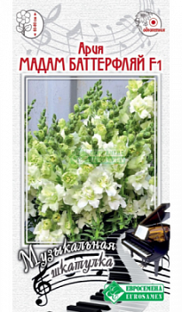 Львиный зев Ария Мадам Баттерфляй