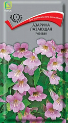 Азарина лазающая Розовая