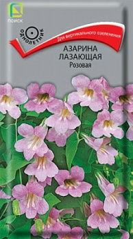 Азарина лазающая Розовая
