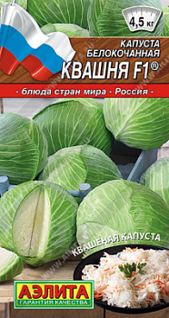 Капуста Квашня