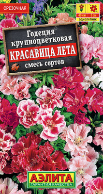 Годеция Красавица лета