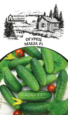 ogurec masha f1 faz