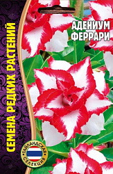 Адениум Феррари