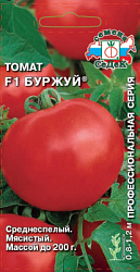 tomat_burzhuy_f1