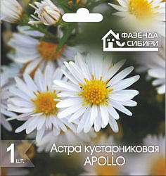 Астра Apollo