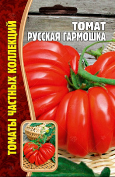 Гармошка