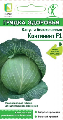 kapusta_belokoch_kontinent_f1