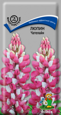 Люпин Чателайн