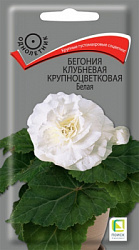 Бегония Белая клубневая