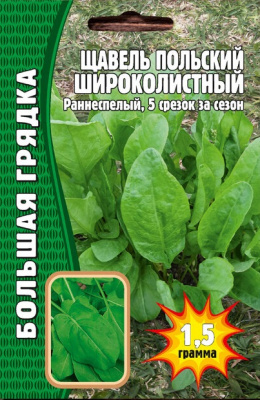 Польский