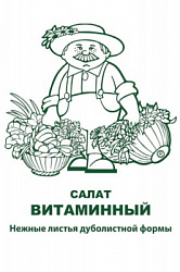 salat_vitaminny_chb_paket