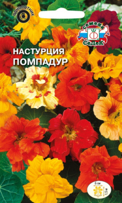 nasturtsiya_pompadur_smes