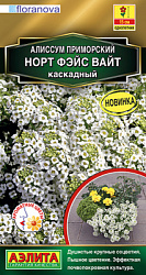 Алиссум Норт фэйс вайт каскадный_ЦП