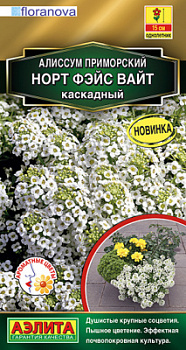 Алиссум Норт фэйс вайт каскадный_ЦП