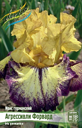 Iris germanica Aggressively Forward