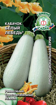 kabachok_belyy_lebed