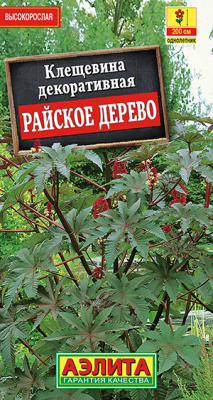 Клещевина Райское дерево_ЦП