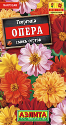 Георгина Опера, смесь сортов_ЦП