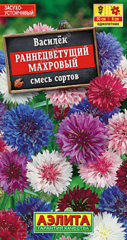 Василек раннецветущий