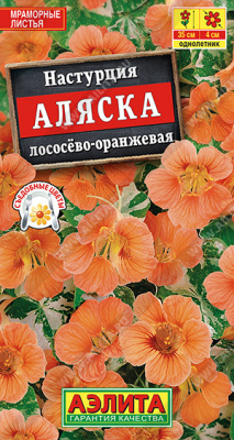 Настурция Аляска лососев оранж