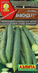 Огурец китайский Анаконда F1_ЦП