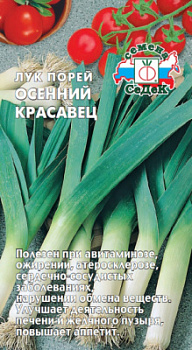luk_osenniy_krasavets_porey