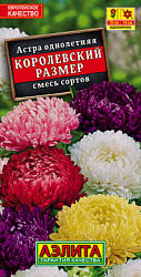 Астра Королевский размер, смесь сортов_ЦП