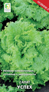 salat_uspeh