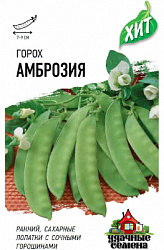 Амброзия