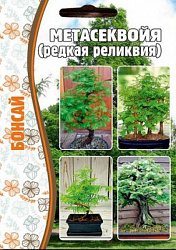 Метасеквойя