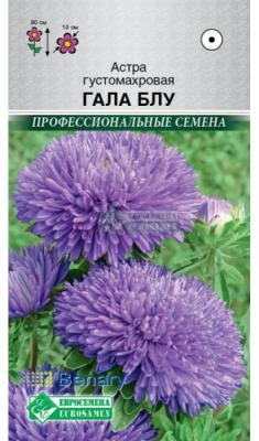 Астра Гала Блу