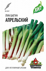 Лук батун Апрельский